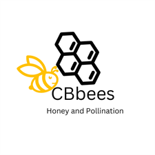CBbees - Honey
