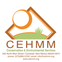 CEHMM