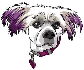 Lotsa Bubbles Dog Grooming