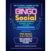 Business After Hours- Bingo Social
