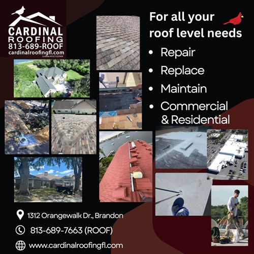 Gallery Image General_ad_1__(5).jpg
