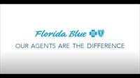 Bay Insurance/Florida Blue