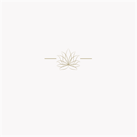 Balanced Wellness and Beauty LLC
