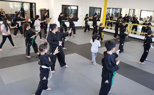 Martial Arts