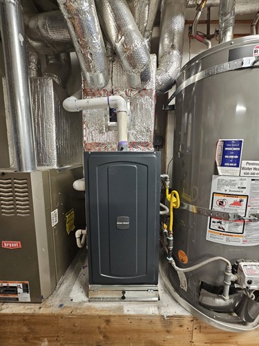 Gallery Image c5d0b2593d41411e427061296995de4d_4604_556299851765239530.jpg