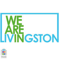 We Are Livingston - Cyber Security 