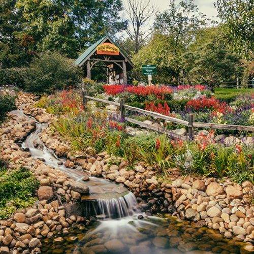 Wild Wonders Wildlife Park 