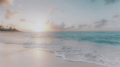 Mind Transformations LLC,                    The Center for Mindfulness, Resilience and Well-Being