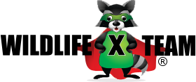 WILDLIFE X TEAM OF SOUTHEAST MICHIGAN LLC