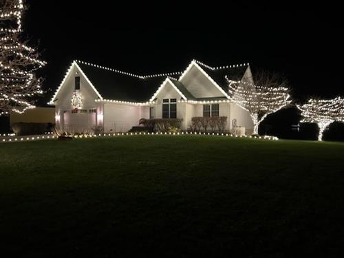 Warm white Christmas lights on roofline & Trees