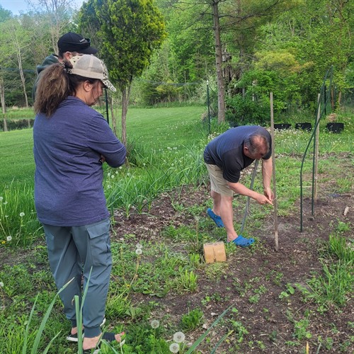 Veggie Garden Workshop