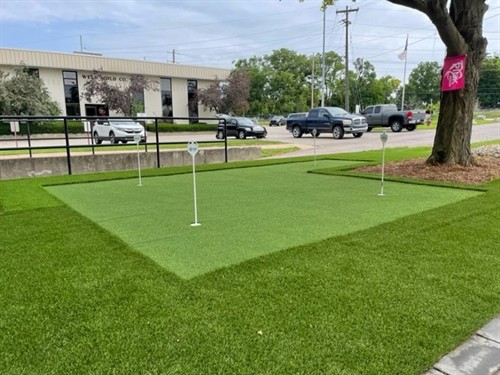 Synthetic Turf Dealer