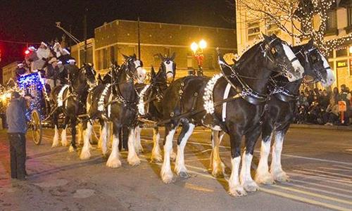 Fantasy of Lights Parade with Clydesdales