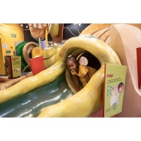 Health Exploration Station Now Booking School Visits