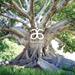 Discover Arbonne