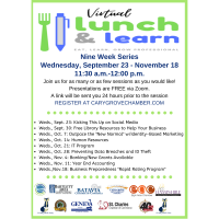 Virtual Lunch & Learn Series from Fox Valley Chamber Leaders