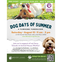 Dog Days of Summer "A Pawsome Fundraiser"