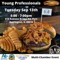 Young Professional Multi-Chamber Network Group Mixer