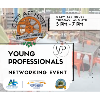 Young Professional Multi-Chamber Network Group