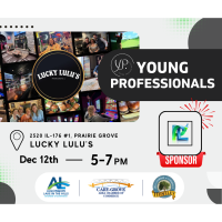 Young Professional Multi-Chamber Network Group