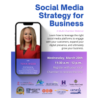 Fox Valley Chambers Webinar-"Social Media Strategy for Business"