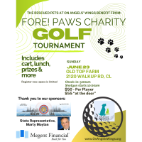 FORE! Paws Charity Golf Tournament 2024 for On Angels Wings