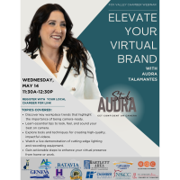 Fox Valley Chamber Webinar "Elevate Your Virtual Brand"