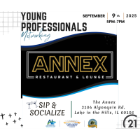 Young Professional Multi-Chamber Network Group