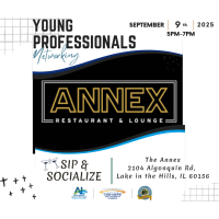 Young Professional Multi-Chamber Network Group