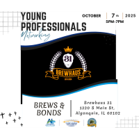 Young Professional Multi-Chamber Network Group