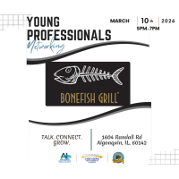 Young Professional Multi-Chamber Network Group