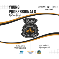 Young Professional Multi-Chamber Network Group