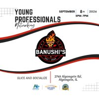 Young Professional Multi-Chamber Network Group