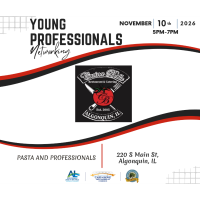 Young Professional Multi-Chamber Network Group