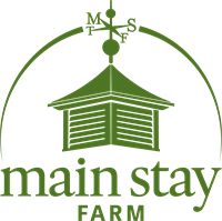 Main Stay's Annual Come Together Gala