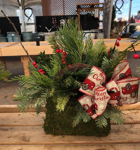 Tabletop Holiday Planter Diy Workshop The Barn Nursery Dec 14