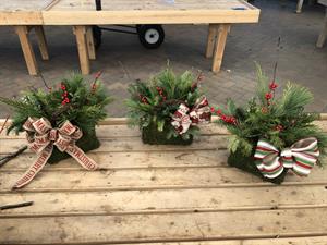 Tabletop Holiday Planter Diy Workshop The Barn Nursery Dec 14