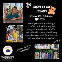 Night At The Library
