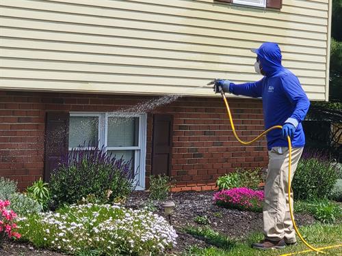 Exterior House Treatment