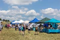 Annual Sunflower Festival on the Farm