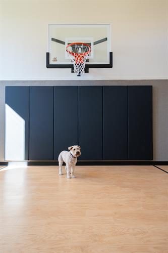 Completed in 2025, Chanhassen home addition and activity court.