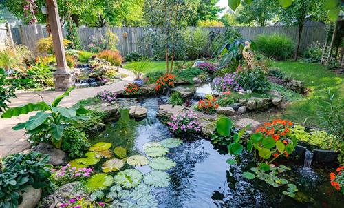 water garden pond