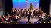 Willow Oak Center for Arts & Learning Holiday Concert