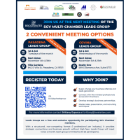 SGV Multi-Chamber Leads Group