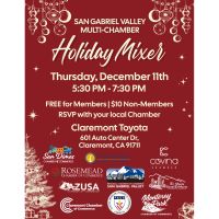 SGV Multi-Chamber Holiday Mixer