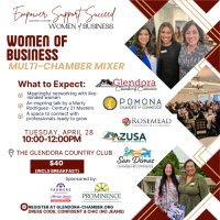 Women of Business Multi-Chamber Mixer