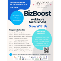 Biz Boost Webinars for Businesss