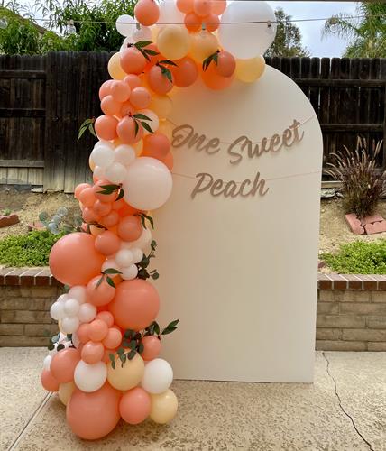 7x4 ft Archie backdrop rental + 10 foot balloon garland.