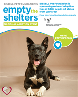 We Are Joining BISSELL Pet Foundation to Offer Waived Adoption Fees During Summer Empty the Shelters Event