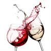 Salud! Wine Bar-Event Center-Wine Storage